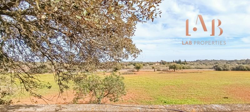 Foto 92e631bd-7e31-44de-87d2-889385b7956b. Casale con piscina in Algaida