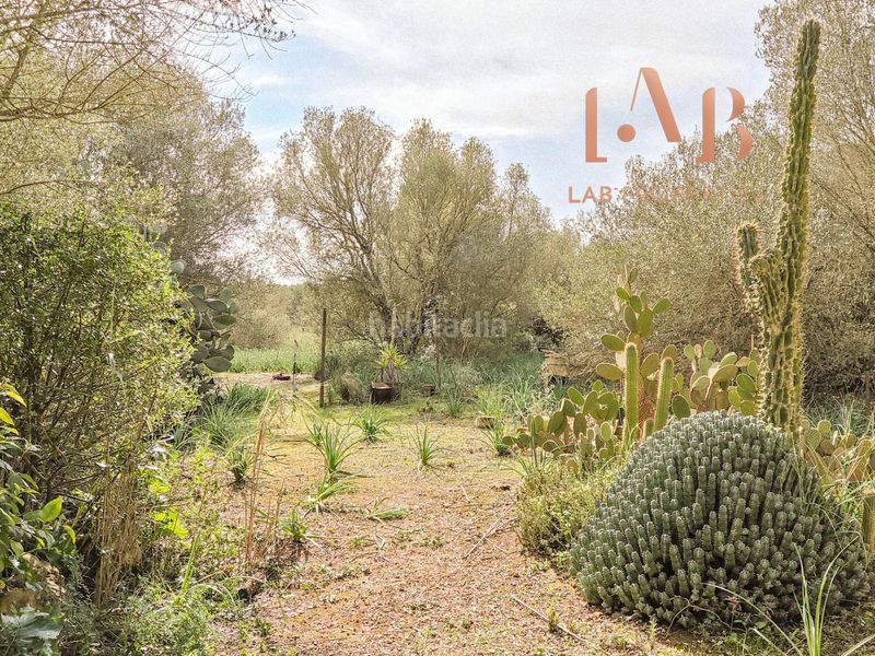 Foto badfd400-0f07-4361-8bc6-09aacb11f2f0. Casale con piscina in Algaida