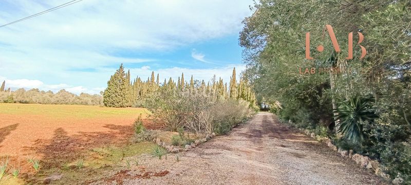 Foto be97067f-e4bb-4b41-93d2-c28929a02fe0. Casale con piscina in Algaida