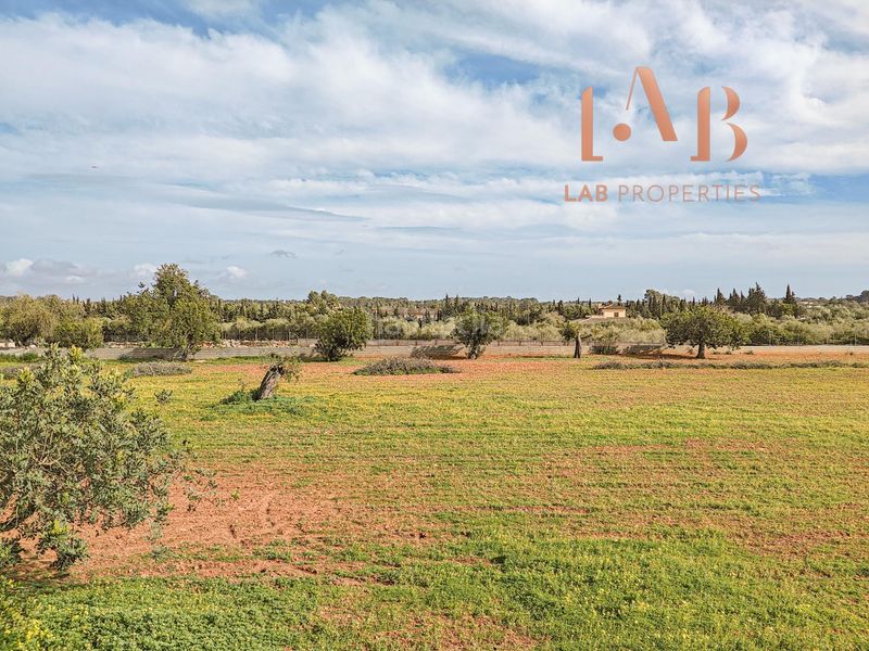 Foto c5e9a59a-f77b-435f-a914-ba70c20fbbde. Casale con piscina in Algaida