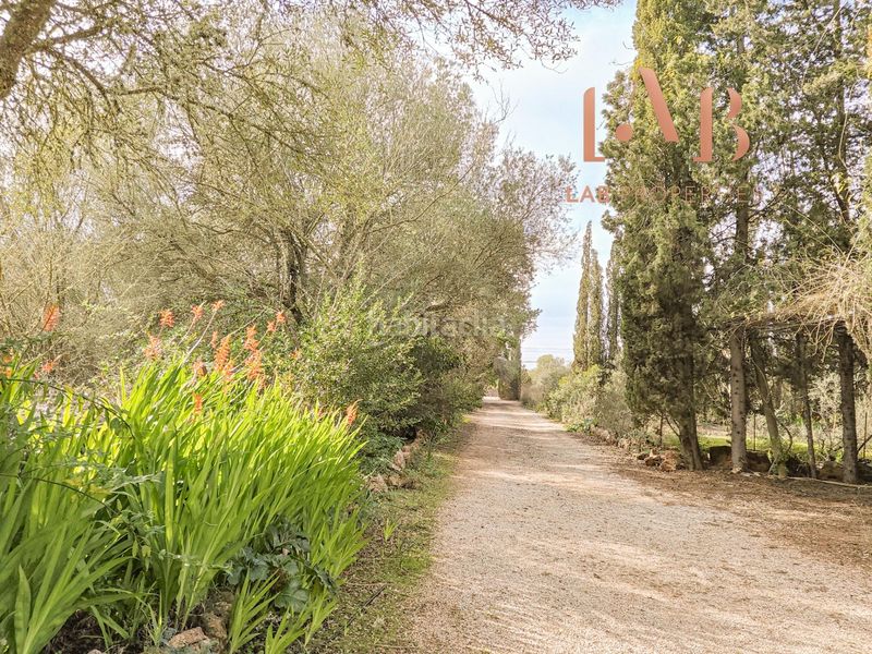 Foto d4c20e75-33c2-4df8-bccd-51fee7ca3c0b. Masia amb piscina a Algaida