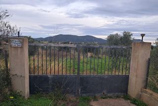 Propriété  Son servera. Finca rústica edificable en son servera  mallorca