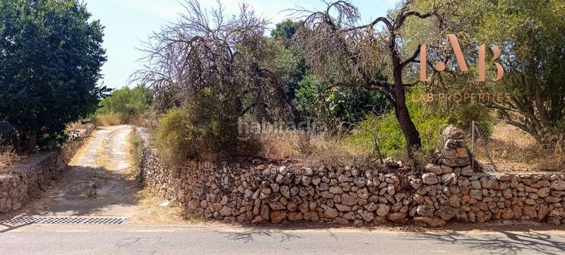 Foto 54e58520-83de-4b84-852d-7353836b6cb6. Casa a Pòrtol Marratxí