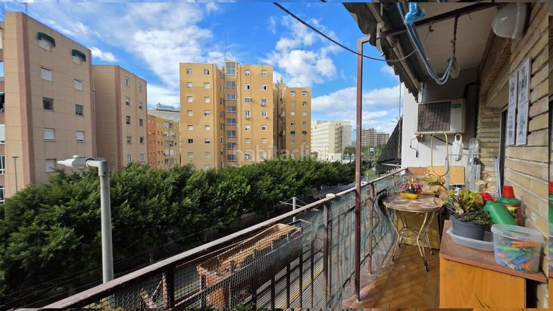 Foto cf0f34b3-4d55-4e00-9611-3b51718cf2db. Pis a Carolinas Altas Alicante