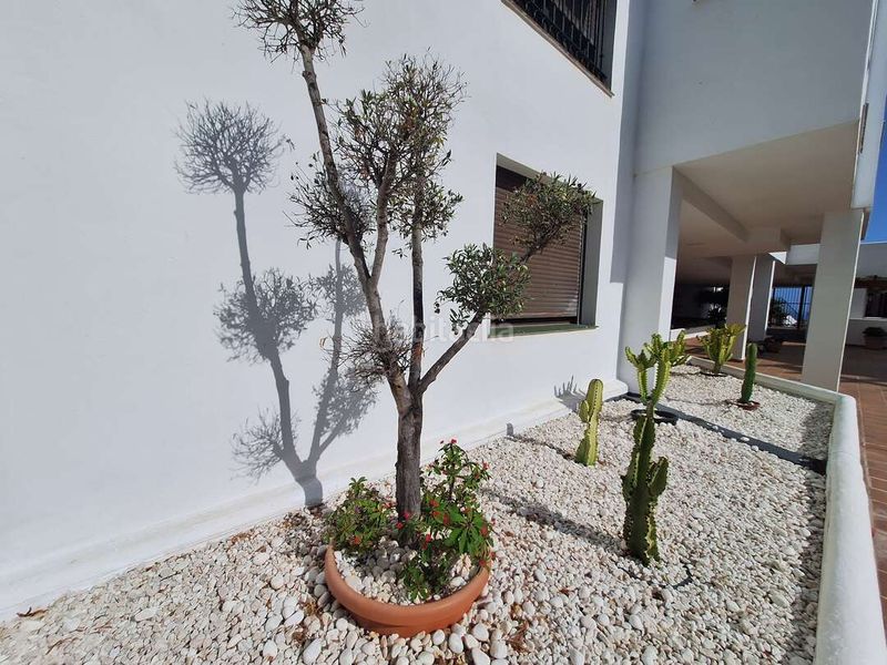 Foto 4190aad5-490d-4e06-8e19-25d6b483b3e2. Affitto appartamento in avenida del golf 8 in La Alcaidesa