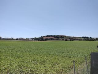Residential Plot in Parque Atlántico - Ronda este. Se vende finca muy bonita a 16 kms del centro de jerez