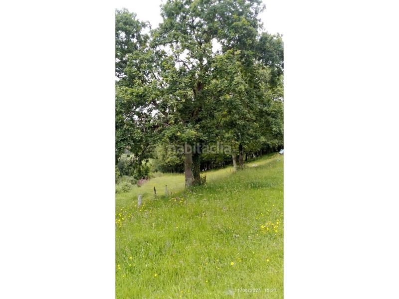 Foto bc05e75b-0928-46b8-b66f-35c0d44427e0. Casa a Somozas (As)