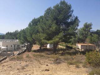 Terreny residencial en Avenida garrofera 19a. Venta de parcela urb.  els tarongers