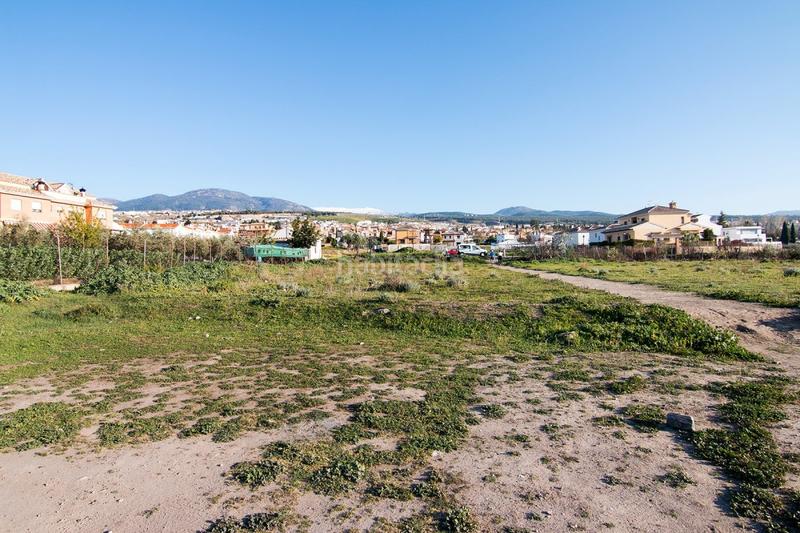 Foto a521ea9d-4ed8-461a-8007-81fa23f41eb4. Terrain résidentiel dans Cájar