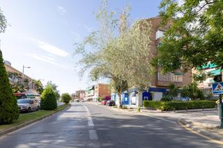 Appartement à Avenida avenida de juan pablo ii 11. Semiático con terraza junto hospital traumatogía