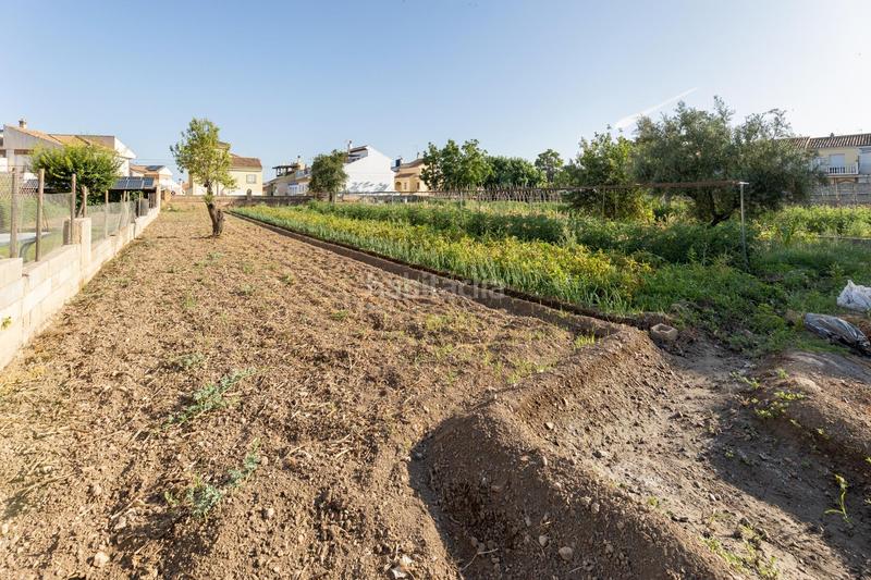 Foto 195554db-f4e6-4d1a-a24d-30d5f90a7a46. Wohngrundstück in calle de vicente aleixandre 5 in Zubia (La)