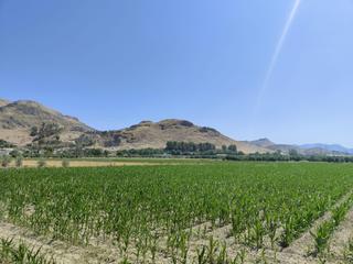 Propriété à Carretera carretera de pinos puente. Parcela rústica de cultivo en atarfe  vega de granada 22.000 m