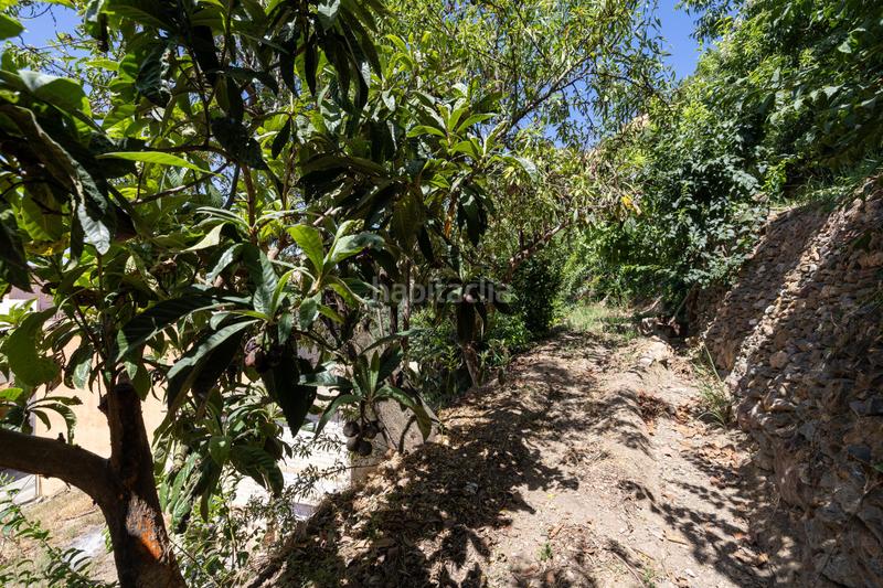 Foto 3bf79ec6-5645-4b32-b8cc-d8f7f0c68de7. Mas dans poligo no 8 parcela 460 granada lanjaron dans Lanjarón