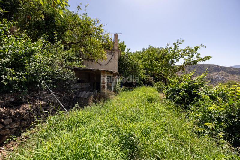 Foto 417f2a22-fb93-4118-b556-eecb4f37cb3f. Mas dans poligo no 8 parcela 460 granada lanjaron dans Lanjarón