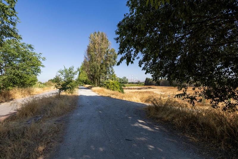 Foto 61e4695f-61d5-42fb-b195-e32dc5eebf88. Finca rústica a marachatalan 9 a Camino de Ronda Granada