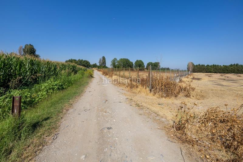 Foto 6583b62e-8e83-4364-89d7-a72c2166676f. Finca rústica a marachatalan 9 a Camino de Ronda Granada