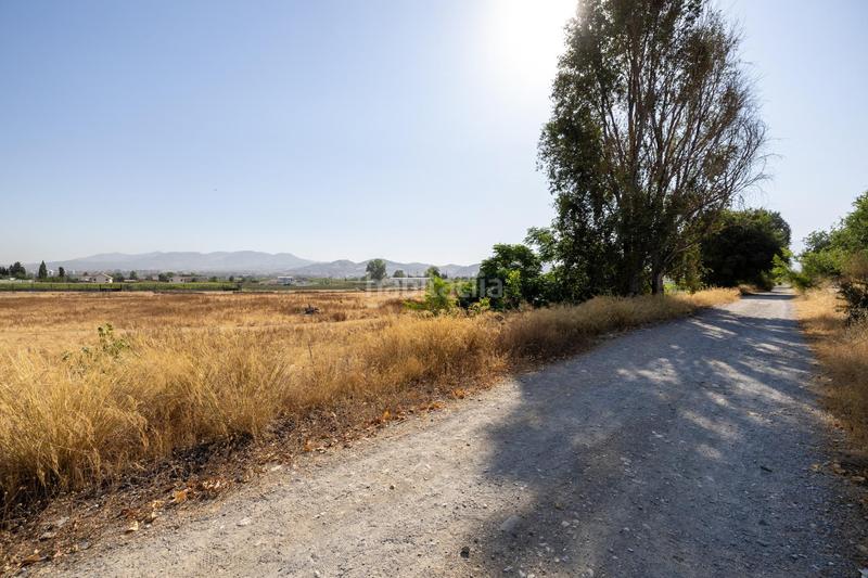 Foto b4ca8683-c1cb-462a-ac78-cd759a4fc00a. Finca rústica a marachatalan 9 a Camino de Ronda Granada