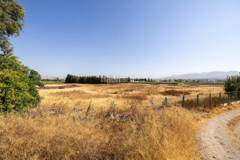 Foto d9c34ac0-a7f5-4104-b8f4-601eb65301a2. Finca rústica a marachatalan 9 a Camino de Ronda Granada