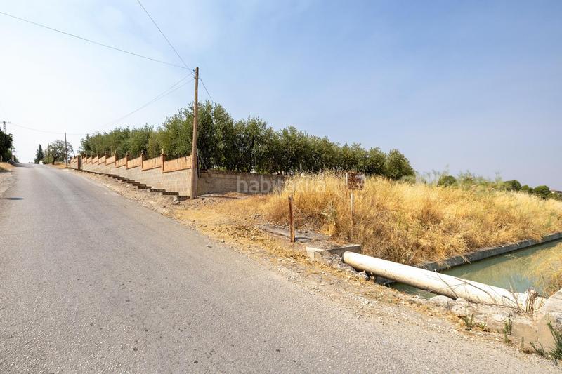 Foto c771c02e-98f5-422f-82b7-d86fffae556c. Masía en calle de moraleda a cómpeta 22 encanto rústico con casita y olivos en moraleja de zafayona en Moraleda de Zafayona