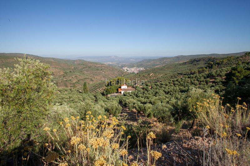 Foto 79fa0508-5ce9-4fd8-84f3-a69b7642aa3a. Masía en diseminado 53 finca rústica casa en venta en jaen andalucia alto rendimiento y rentabilidad en Beas de Segura