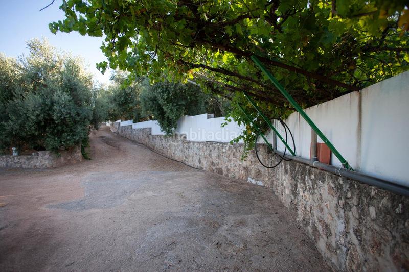 Foto c5c51d45-a116-4d80-a302-4beb481c0d35. Masía en diseminado 53 finca rústica casa en venta en jaen andalucia alto rendimiento y rentabilidad en Beas de Segura