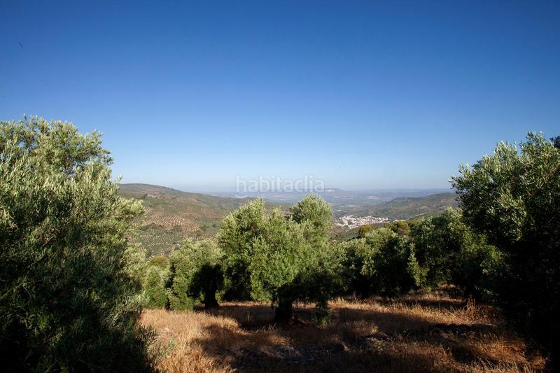 Foto fe27b4c4-2d89-4766-b10d-49942595f494. Masía en diseminado 53 finca rústica casa en venta en jaen andalucia alto rendimiento y rentabilidad en Beas de Segura