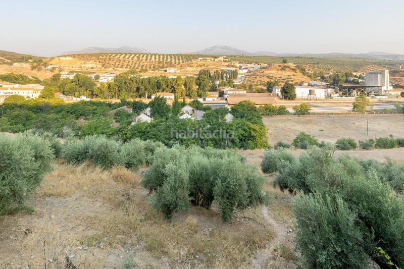 Foto 30d25c6a-6487-4af4-b9db-cd45d6132d9e. Terreno residencial en calle de granada de Iznalloz oportunidad única granada en Iznalloz