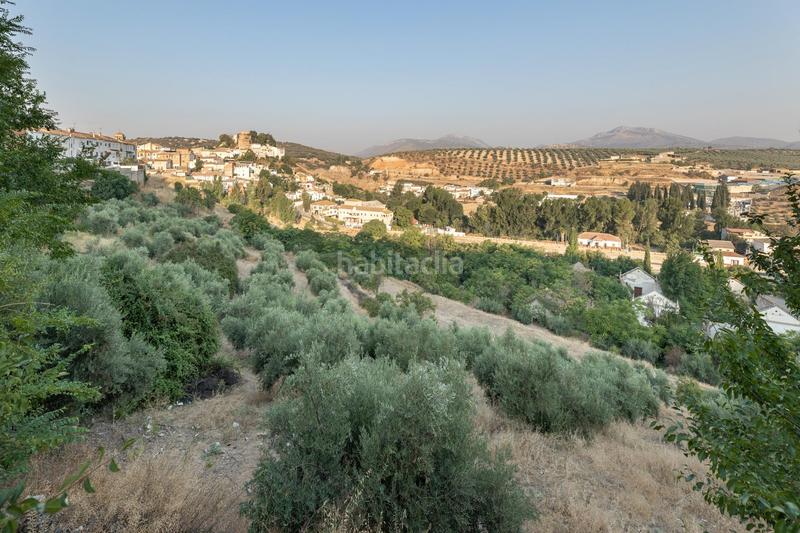 Foto 58fdcd4e-a59b-4b92-abed-3b32dd20e8ef. Terreno residencial en calle de granada de Iznalloz oportunidad única granada en Iznalloz