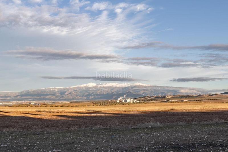 Foto 3171783f-1cd8-49d8-93c7-25eaa3c425eb. Casa a calle alixares del temple 7 a Ventas de Huelma