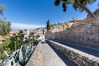 Pis a Placeta Negros 2