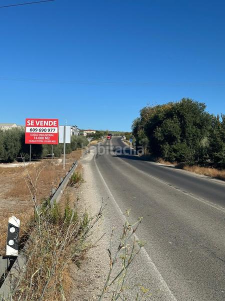 Foto 237c1e8f-3c2e-4a12-a85d-cac050ee2543. Fondo rustico in Poleares Lucena