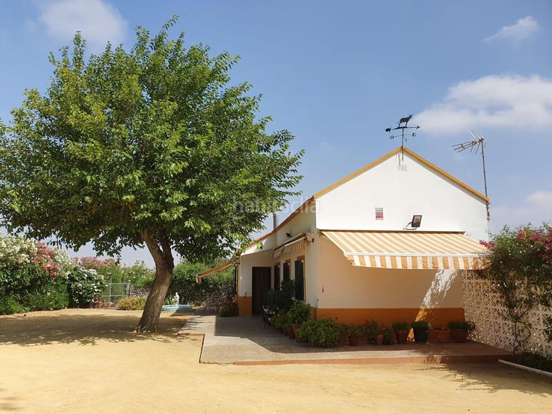 Foto 5983cf1d-e9ec-4735-b065-069708098af7. Finca rústica a Centro Utrera