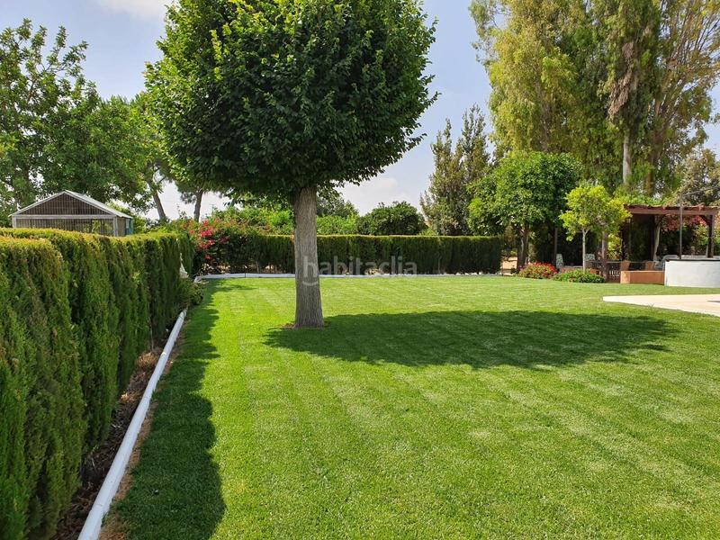 Foto 6e17af9b-5f50-4c89-a6f8-88766e5d0d3e. Finca rústica a Centro Utrera