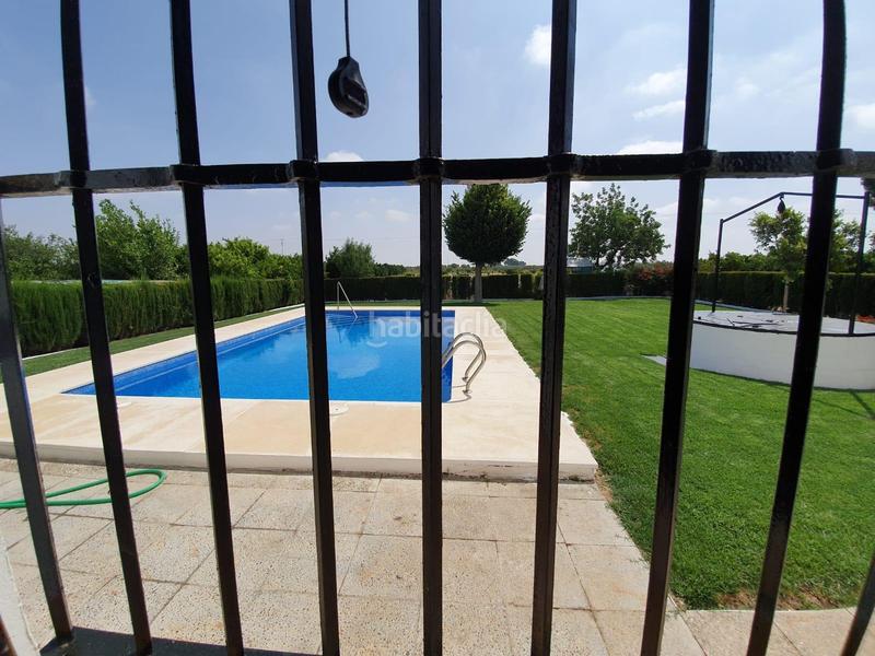 Foto 85eb9483-0edb-45b6-b768-bee42c24aa2a. Finca rústica a Centro Utrera