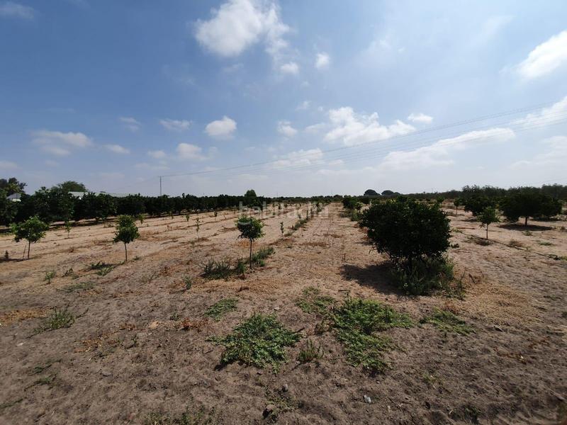 Foto f99957b5-6f7f-4533-bb91-bc5029ef002c. Finca rústica a Centro Utrera