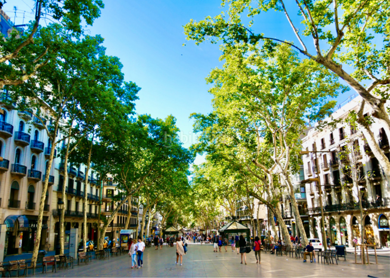 Foto b1290bd2-894a-423b-9fcc-c02419129551. Piso precioso piso con terraza en Raval Barcelona