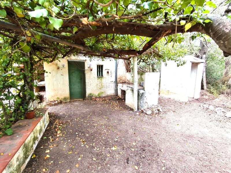 Foto 4a6cc7a3-7040-470d-964e-88a2486f5024. Finca rústica a Valls