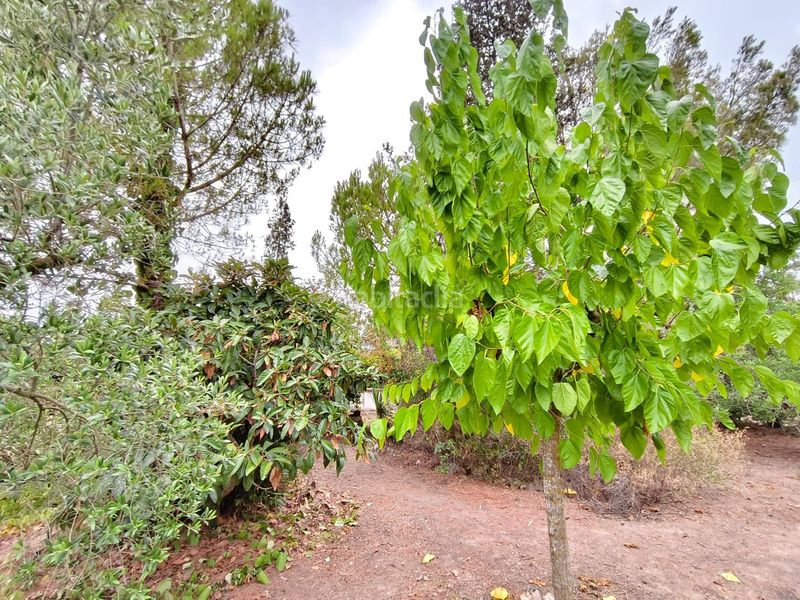 Foto 7ca792fc-ffdf-42f6-bb65-b4090ee8218f. Finca rústica a Valls