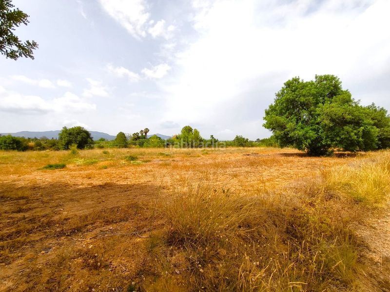 Foto ad45019a-f09b-4b28-b925-a45b8204799c. Finca rústica a Valls
