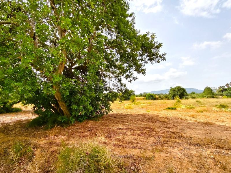 Foto e3ab09b4-d101-4b55-80d6-30ebe281888d. Finca rústica a Valls