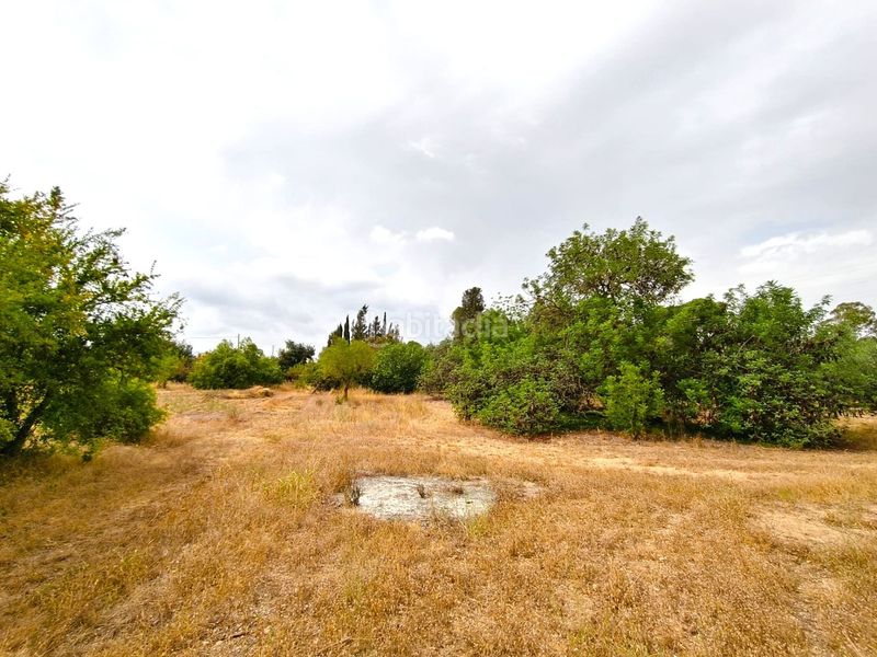Foto e6b3b531-d0f9-4bba-b1e7-3c137f217247. Finca rústica a Valls