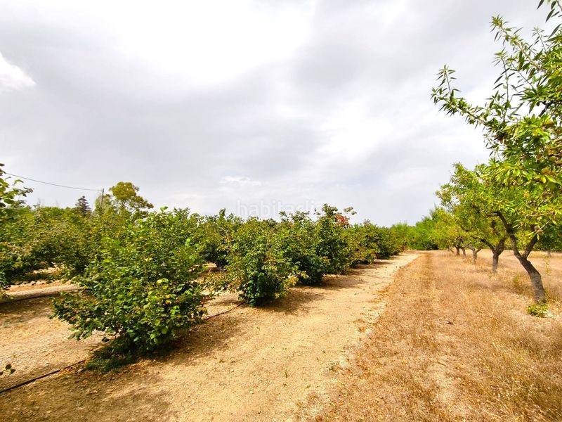 Foto e78be9da-7d9f-40d8-86a9-1000baa72cd4. Finca rústica a Valls