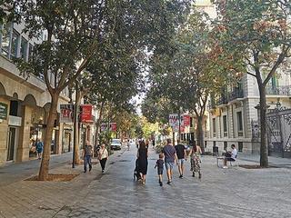 Pis a Dreta de l´Eixample. Piso en fica regia en paseo san juan!