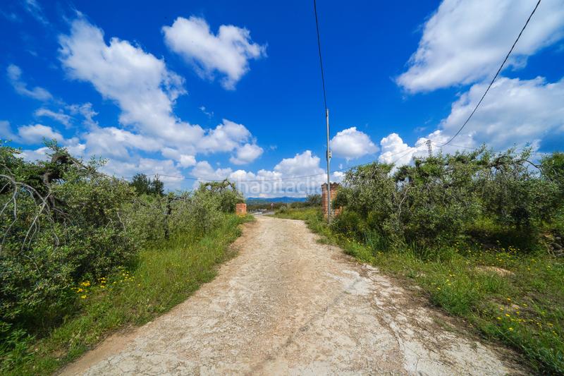 Foto 2422d4f5-1a14-48af-a62b-e14f577e8e0c. Masía finca rústica en maspujols en Riudoms