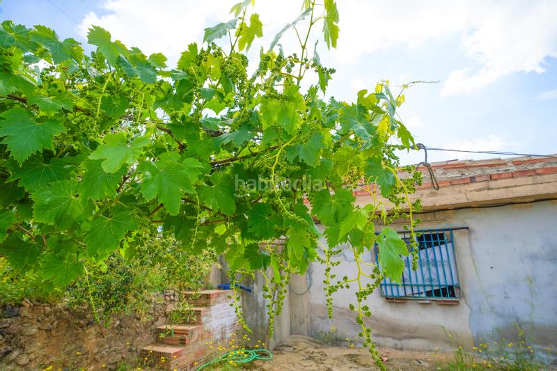 Foto 48da74e3-fd59-4234-b9ab-ae624175b5f0. Masía finca rústica en maspujols en Riudoms