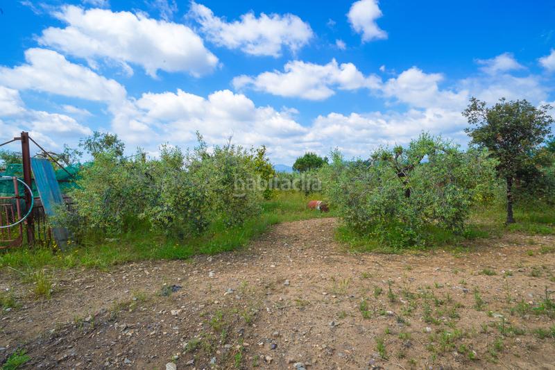 Foto 4a899b49-a1c7-4f3a-be80-1e66625a6fb1. Masía finca rústica en maspujols en Riudoms