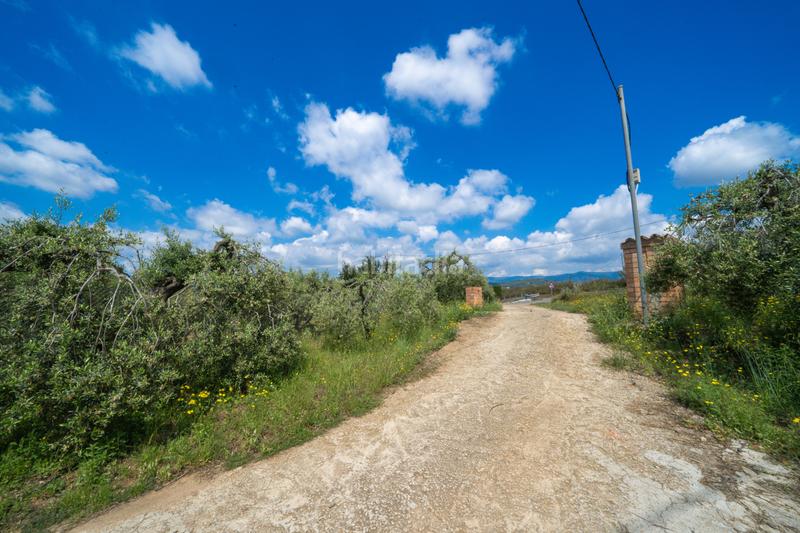 Foto 59b828df-f575-46b5-b695-1ebc3d394189. Masía finca rústica en maspujols en Riudoms