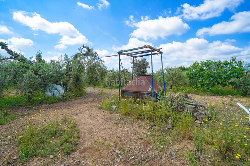 Foto 7ff0be22-9998-4729-adcf-237118446530. Masía finca rústica en maspujols en Riudoms