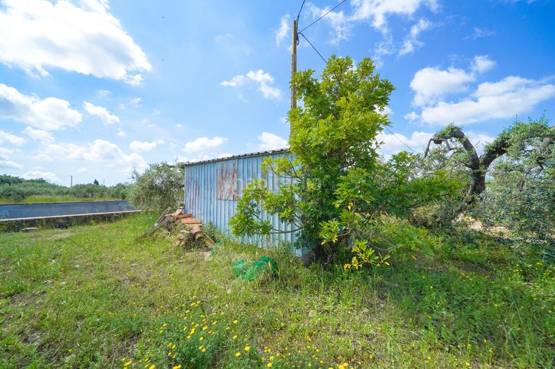 Foto bc0385c1-939e-4099-a689-44c496c07641. Masía finca rústica en maspujols en Riudoms