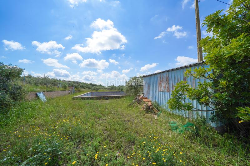 Foto daa872c6-af87-48f1-9e30-2eeab05a16da. Masía finca rústica en maspujols en Riudoms